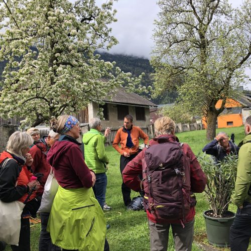 279055213_184508093905401_3461753327346648670_n