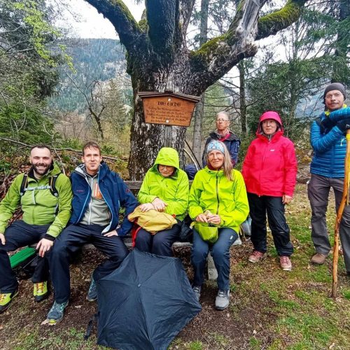 279274795_184507690572108_8609223701588176288_n