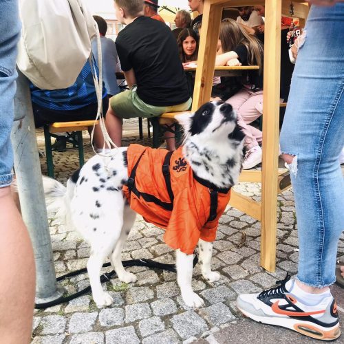 448900073_487855206935945_6046308591700366750_n