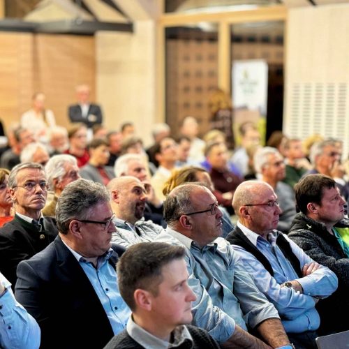 Regionalkonzferenz_04